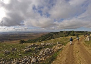 Castel Del Monte - Poggiorsini.jpg