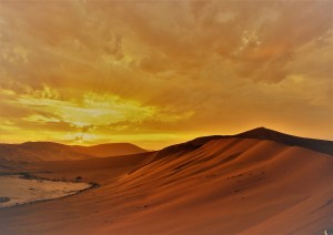 Deserto Del Namib (280 Km).jpg