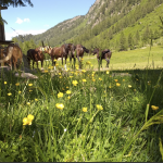 La valle