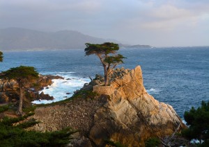 San Francisco – Monterey 187km.jpg