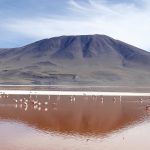 Lagune colorate, l'essenza di un viaggio in Bolivia