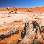 Sossusvlei [Foto di Michal Průcha su Unsplash]