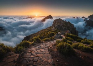 Madeira (volo) Italia.jpg