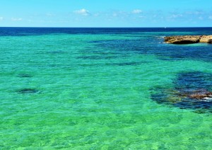 Favignana (aliscafo) Trapani (volo) Citta’ Di Partenza.jpg