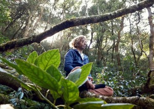 La Foresta Incantata E I Paesini Tradizionali Canari.jpg