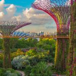 Garden By the Bay a Singapore