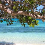Spiaggia di Barbados