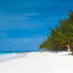 Spiaggia di Barbados