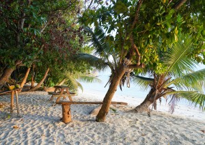 Isola La Digue.jpg