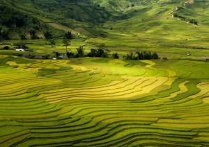 Sapa Trekking - Lao Cai- Treno Notturno Per Hanoi.jpg