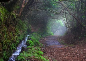 La “levada” Da Camacha A Funchal.jpg