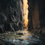 Zion National Park [Foto di Brian Heimann su Unsplash]