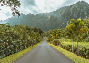 Pearl Harbor - Windward Coast.jpg