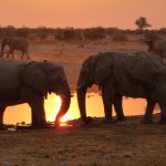 Incontri africani al tramonto (copyright: Valeria Salvai)