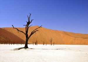 11 Agosto 2024: Sossuvlei.jpg