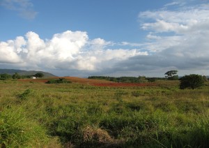 Camaguey – Santo Domingo (265 Km, 4h).jpg