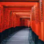 Tunnel di porte torii a Kyoto