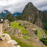 Il lama, tipico animale andino con, sullo sfondo, Machu Picchu