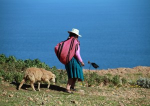 Arequipa - Puno.jpg