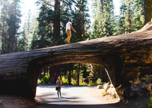 Los Angeles – Sequoia National Forest - Fresno (480 Km).jpg