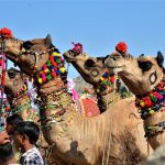 Jaisalmer desert festival [Foto di Janet da Pixabay]