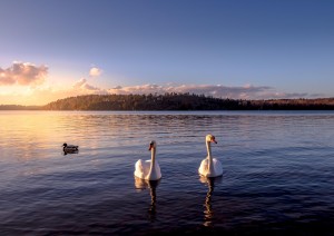 Goteborg - Filipstad (300km).jpg