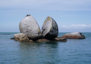 Abel Tasman National Park: Navigazione E Passeggiata Libera.jpg