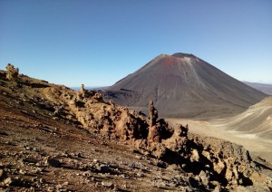 Wellington – Tongariro National Parc (325 Km).jpg