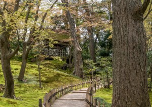 Tokyo - Kanazawa.jpg