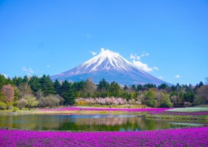 Tokyo – Monte Fuji - Tokyo.jpg