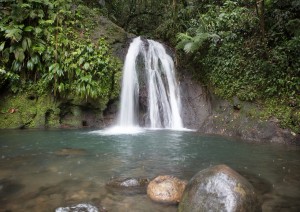 Basse Terre.jpg