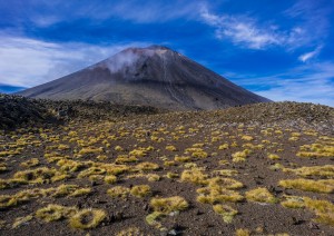 Wellington/tongariro National Park (332km).jpg