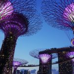 Singapore - Garden by the bay