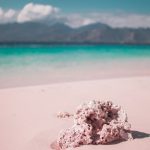 Le bianche spiagge delle isole Gili