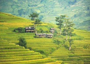 Ubud - Bedugul - Ubud.jpg