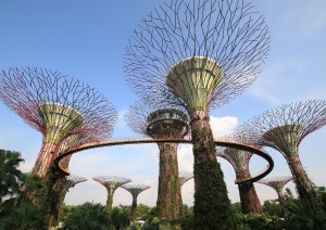 Singapore (gardens By The Bay).jpg