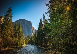 San Francisco - Yosemite National Park.jpg