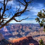 Grand Canyon  - Foto di Alex Williams da Pixabay