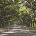 Viale delle querce a Savannah