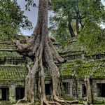 Angkor Wat [Foto di James Wheeler da Pixabay]