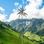 Valle de Cocora [Foto di Christian Holzinger su Unsplash]