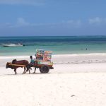 Carretto sulla spiaggia