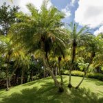 Martinica - giadino botanico