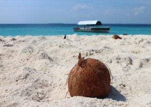 Italia (volo) Zanzibar.jpg