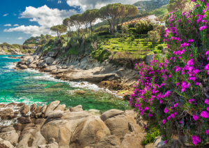 Escursione Isola Di Mnemba.jpg