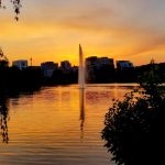 Parcul Central Cluj