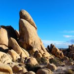 Joshua Tree National Park