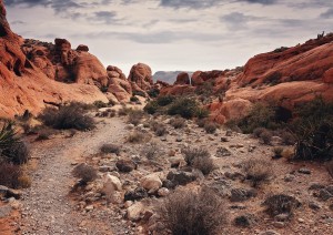 Red Rock Canyon.jpg