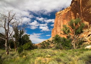 Bryce Park – Capitol Reef Park – Arches Park – Moab (315 Miglia).jpg