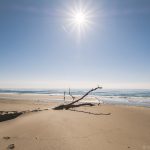 Spiaggia Camargue